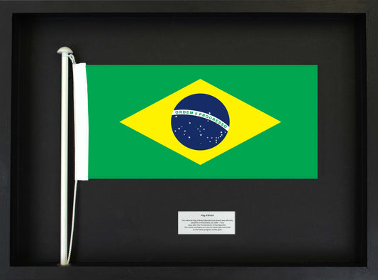 Brazil- Flag with Pole