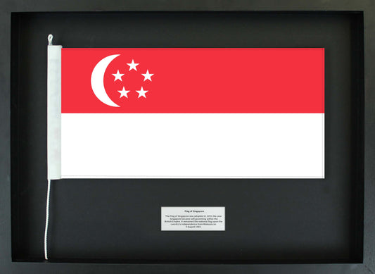 Singapore - Flag Only